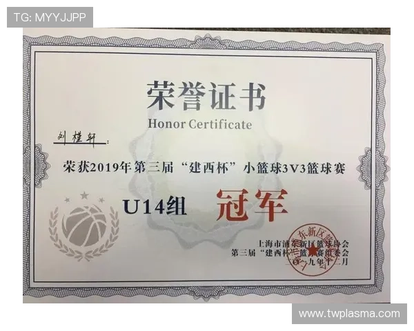 北京篮球队在杯赛中的实力分析与表现评估